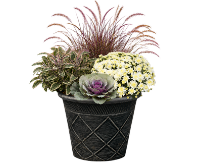 Fall Accent Planter 12"