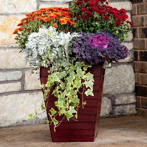 Planter Delivery Subscription - Simple and Grand