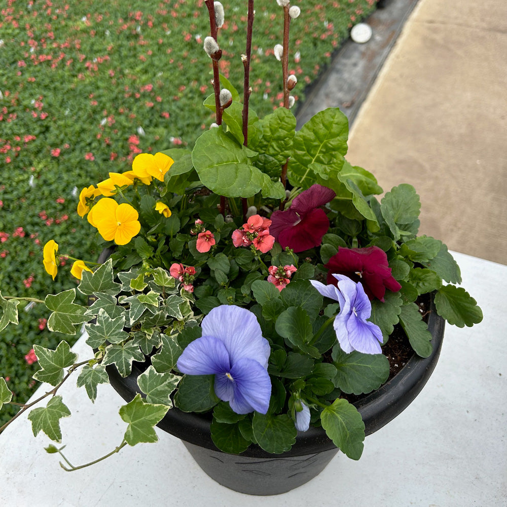 Planter Insert Delivery Subscription - Use Your Own Container-Simple and Grand-Round-9" Round (9" Top x 6.25" Tall x 6.75" Bottom)-Full Sun-Simple and Grand