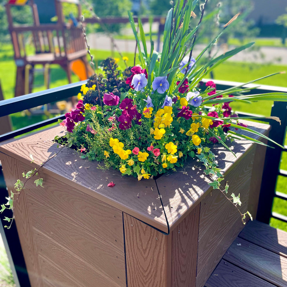 Planter Insert Delivery Subscription - Use Your Own Container-Simple and Grand-Round-9" Round (9" Top x 6.25" Tall x 6.75" Bottom)-Full Sun-Simple and Grand