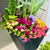 Planter Delivery Subscription-Simple and Grand-SELECT (11"-12") - Budget Friendly-Square-Full Sun-Simple and Grand