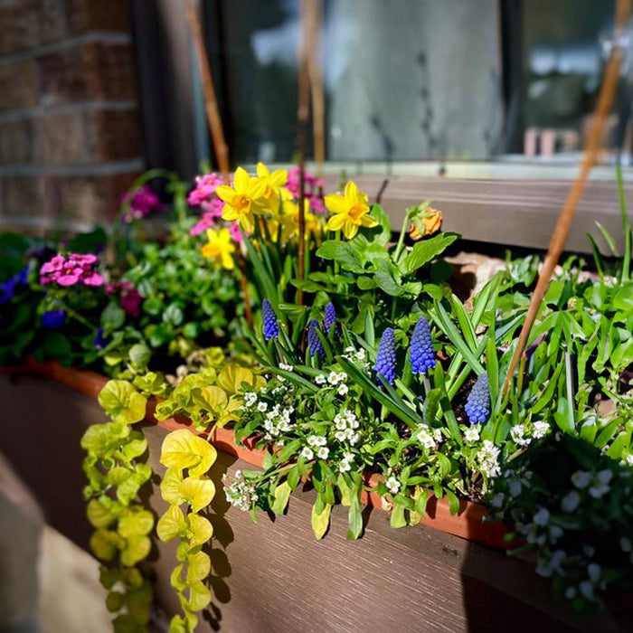 Simple & Grand: Seasonal Planters, Arrangements Delivered to Your Door