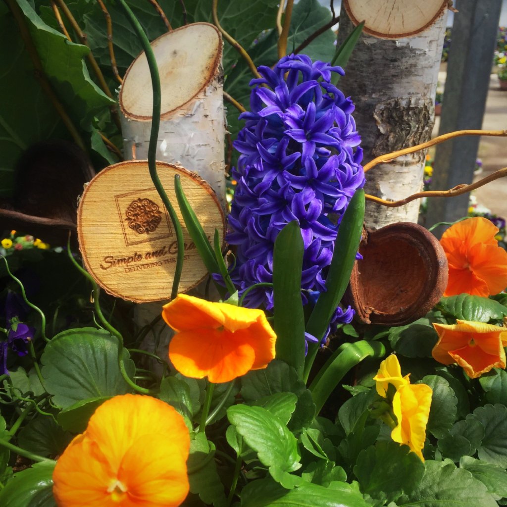Planter Insert Delivery Subscription - Use Your Own Container-Simple and Grand-Round-9" Round (9" Top x 6.25" Tall x 6.75" Bottom)-Full Sun-Simple and Grand