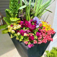 A square black planter filled with a dense, colorful mix of ornamental flowers and green foliage, photographed outdoors against a light gray wall.
