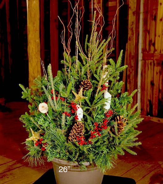 Planter Insert Delivery Subscription - Use Your Own Container-Simple and Grand-Round-9&quot; Round (9&quot; Top x 6.25&quot; Tall x 6.75&quot; Bottom)-Full Sun-Simple and Grand