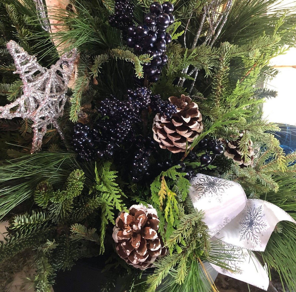 Planter Insert Delivery Subscription - Use Your Own Container-Simple and Grand-Round-9&quot; Round (9&quot; Top x 6.25&quot; Tall x 6.75&quot; Bottom)-Full Sun-Simple and Grand