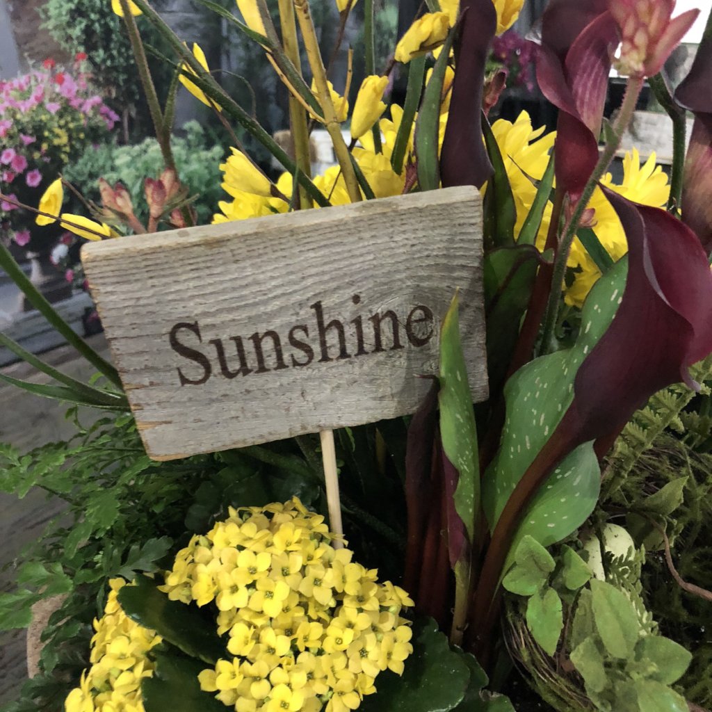 Rustic Cedar Sign Pick, Sunshine-Simple and Grand-Simple and Grand