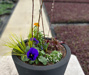 Quick and Easy $2 Transformation for Cheap Flower Pots