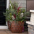 Planter Delivery Subscription - Use Your Own Container Auto renew-Simple and Grand-Round-9" Round (9" Top x 6.25" Tall x 6.75" Bottom)-Full Sun-Simple and Grand