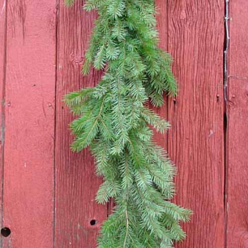 Balsam Garland, 25'-Seasonal Decor-Simple and Grand-Simple and Grand