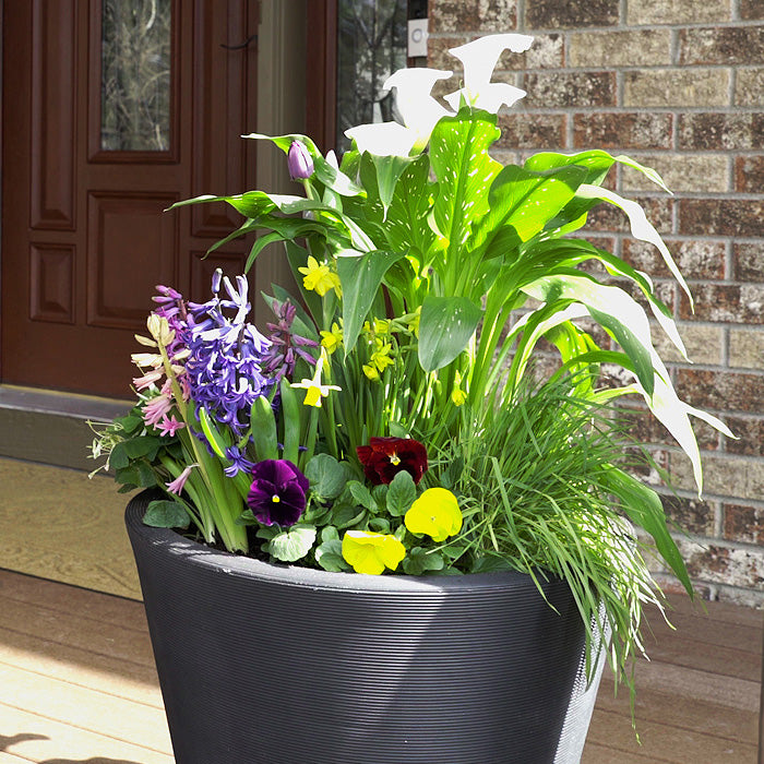 Planter Delivery Subscription-Simple and Grand-SELECT (11"-12") - Budget Friendly-Square-Full Sun-Simple and Grand