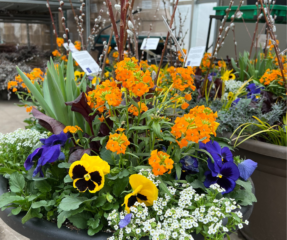 Planter Delivery Subscription-Simple and Grand-SIGNATURE PLUS (20") - Most Grand-Round - Caviar Black-Full Sun-Simple and Grand