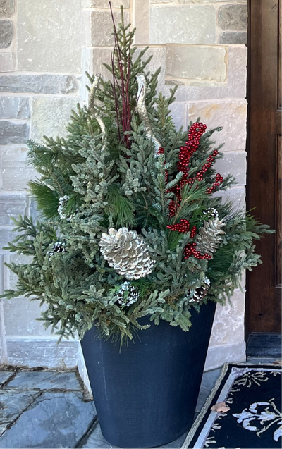 Planter Delivery Subscription-Simple and Grand-SELECT (11"-12") - Budget Friendly-Square-Full Sun-Simple and Grand