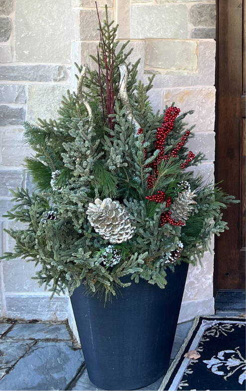 Planter Delivery Subscription-Simple and Grand-SELECT (11"-12") - Budget Friendly-Square-Full Sun-Simple and Grand