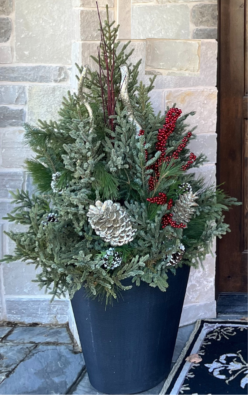 Christmas Grab & Go containers make the perfect live plant to gift