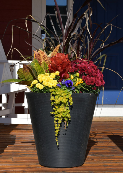 Planter Delivery Subscription-Simple and Grand-SELECT (11"-12") - Budget Friendly-Square-Full Sun-Simple and Grand