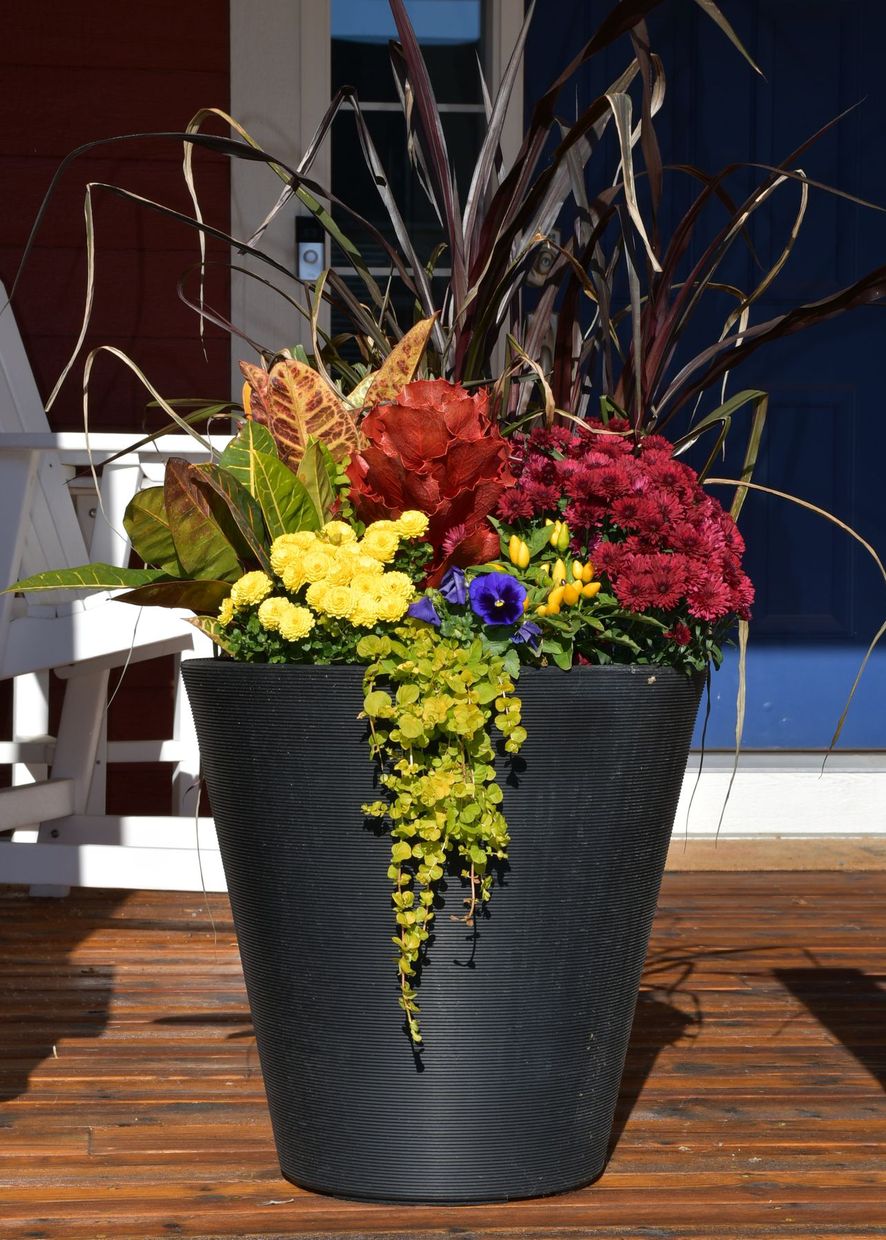 Planter Delivery Subscription-Simple and Grand-SIGNATURE PLUS (20") - Most Grand-Round - Caviar Black-Full Sun-Simple and Grand