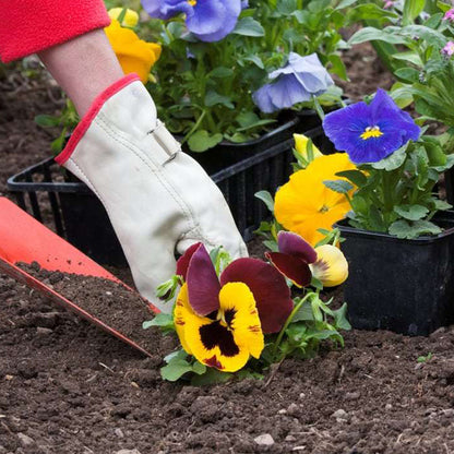 Do It Yourself (DIY) Planter Subscription Kit-Simple and Grand-Small (12"-14")-Full Sun-Simple and Grand