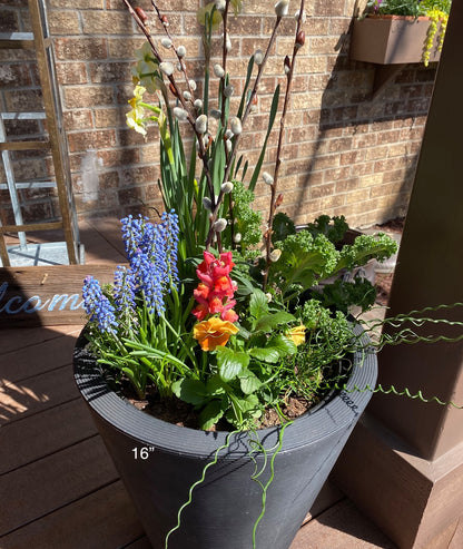 Planter Delivery Subscription-Simple and Grand-SIGNATURE (16") - Most Popular-Round - Caviar Black-Full Sun-Simple and Grand