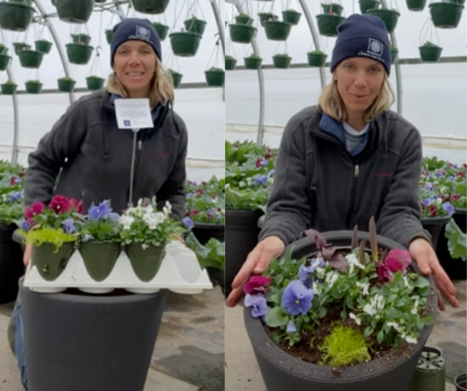 Do It Yourself (DIY) Planter Subscription Kit-Simple and Grand-Small (12&quot;-14&quot;)-Full Sun-Simple and Grand