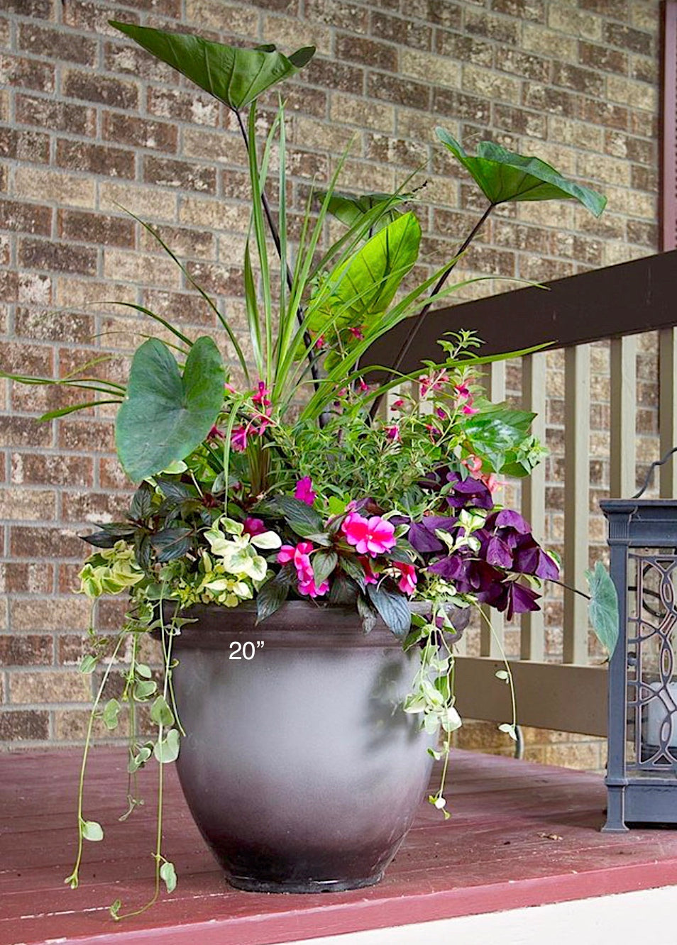 Planter Delivery Subscription - Use Your Own Container Auto renew-Simple and Grand-Round-9" Round (9" Top x 6.25" Tall x 6.75" Bottom)-Full Sun-Simple and Grand
