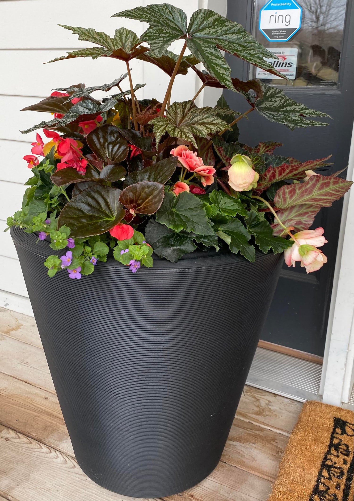 Planter Delivery Subscription-Simple and Grand-SELECT (11"-12") - Budget Friendly-Square-Full Sun-Simple and Grand