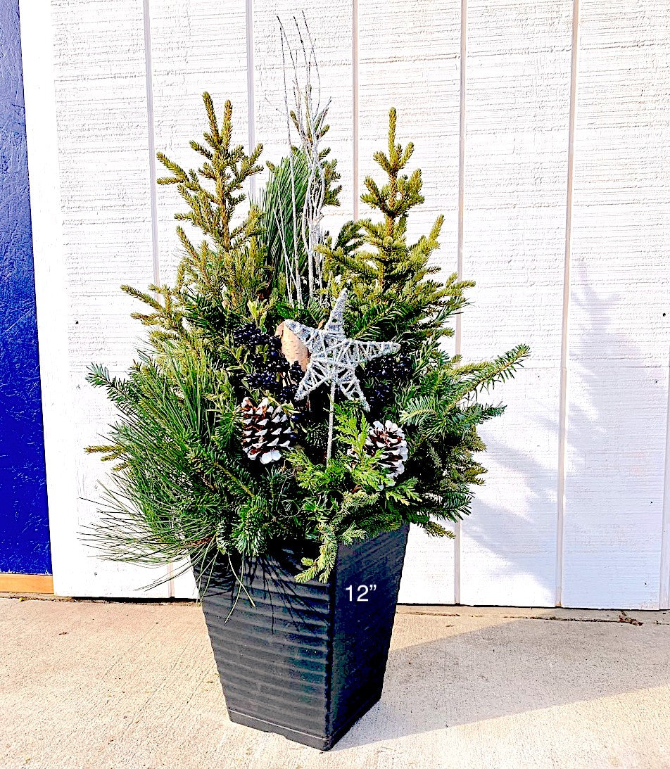 Planter Delivery Subscription-Simple and Grand-SELECT (11"-12") - Budget Friendly-Square-Full Sun-Simple and Grand